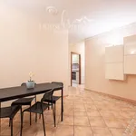 Rent 1 bedroom apartment of 24 m² in Rome