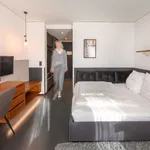 Rent 1 bedroom apartment of 22 m² in Munich