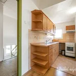 Rent 1 bedroom house of 822 m² in Capital City of Prague