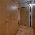 Rent 1 bedroom apartment of 37 m² in Poděbrady