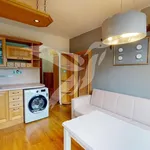 Rent 1 bedroom apartment of 36 m² in Pilsen