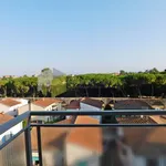 Rent 4 bedroom apartment of 90 m² in Pisa