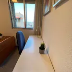 Rent a room of 170 m² in Valencia