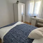 Rent a room of 150 m² in madrid