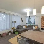 Rent 1 bedroom apartment in Milan