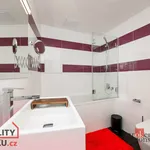 Rent 1 bedroom apartment in Plzeň