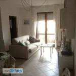 Rent 3 bedroom apartment of 70 m² in Pisa