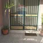 Rent 4 bedroom apartment of 119 m² in Misterbianco