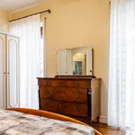 Rent 3 bedroom apartment in Bologna