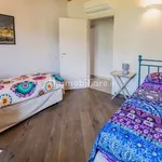 Rent 3 bedroom apartment of 80 m² in Solaro