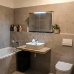 Rent 3 bedroom apartment of 86 m² in Prague