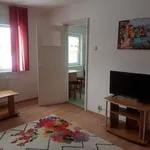 Rent 1 bedroom apartment of 28 m² in Timișoara