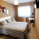 Rent a room in zaragoza