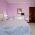 Rent 3 bedroom apartment of 80 m² in Alghero