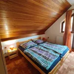 Rent a room of 220 m² in Pavlov