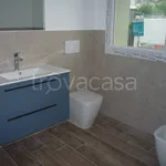 Rent 4 bedroom apartment of 100 m² in Padua