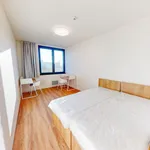 Pronajměte si 2 ložnic/e byt o rozloze 54 m² v Prague