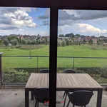 Rent 1 bedroom apartment in Hasselt