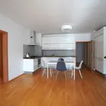 Rent 4 bedroom apartment of 154 m² in Capital City of Prague