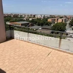 Rent 3 bedroom apartment of 90 m² in Foggia