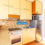 Rent 3 bedroom apartment in Olomouc