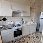 Rent 4 bedroom apartment of 90 m² in Bologna