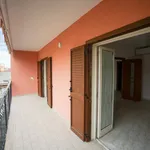 Affitto 3 camera appartamento di 79 m² in Casalnuovo di Napoli