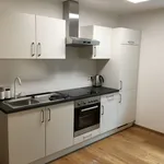 Rent 1 bedroom apartment of 50 m² in Nuremberg