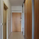 Rent 1 bedroom apartment in Brno