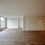 Rent 3 bedroom apartment of 60 m² in Burgwallen-Nieuwe Zijde