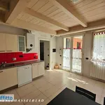 Rent 4 bedroom apartment of 85 m² in Bologna