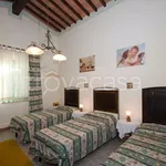 Rent 1 bedroom apartment of 130 m² in Capannoli