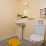 Rent 1 bedroom flat in Dundee