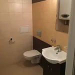 Rent 1 bedroom apartment in Olomouc