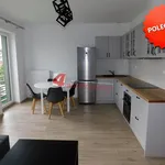 Rent 1 bedroom apartment of 31 m² in Tarnów