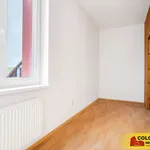 Rent 1 bedroom apartment in Brno