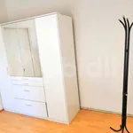 Rent 1 bedroom apartment in Ostrava