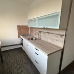 Rent 2 bedroom apartment of 57 m² in Bruntál