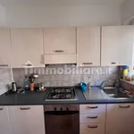 Rent 3 bedroom apartment of 70 m² in Trento