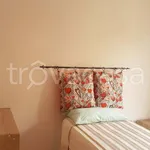 Rent 4 bedroom apartment of 100 m² in Isernia