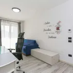 Rent 1 bedroom apartment of 55 m² in milan