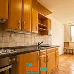 Rent 3 bedroom apartment of 73 m² in Praha