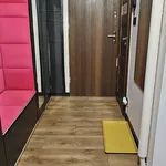 Rent 2 bedroom apartment of 46 m² in Łódź