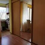 Rent 1 bedroom apartment of 30 m² in München