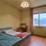 Rent a room in trento