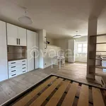 Rent 1 bedroom apartment of 50 m² in Villanova Mondovì