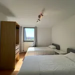 Rent 1 bedroom apartment in Leuven