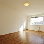 Rent 4 bedroom apartment of 118 m² in Brno