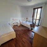 Rent 1 bedroom apartment of 150 m² in legnaro