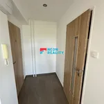 Rent 1 bedroom apartment in Ostrava